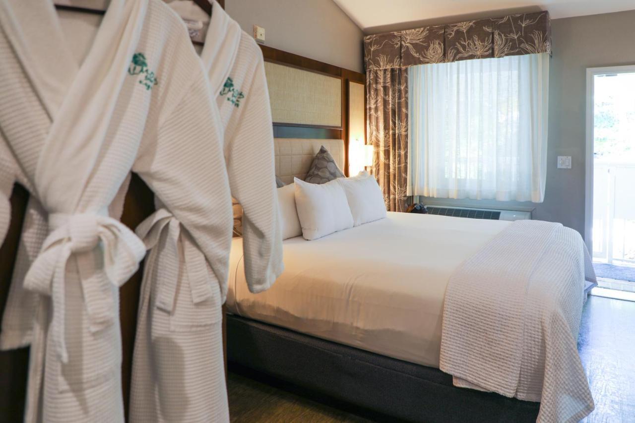 Almond Tree Inn - Adults Only Key West Quarto foto